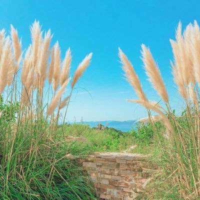 乐鱼app(中国体育)官方网站截图