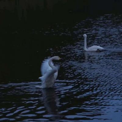 安博体育的最新版本手机app下载