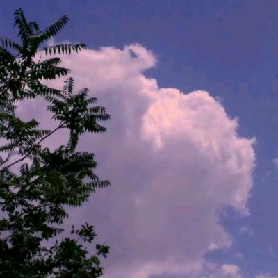 江南娱乐app官网下载官方入口