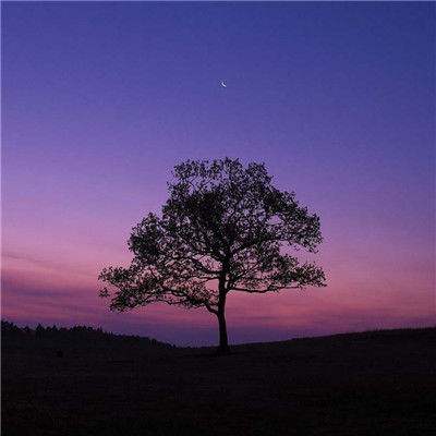 澳门天天免费资料大全下载app下载截图