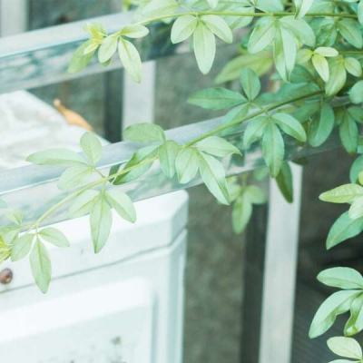 xk星空网官网登录入口